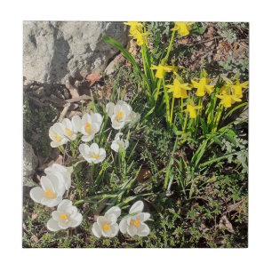 Daffodils & Crocus Ceramic Tile Kakelplatta