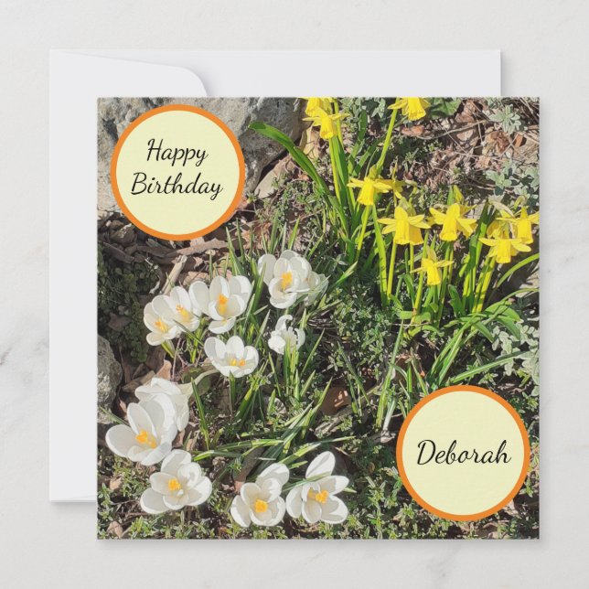 Daffodils & Crocus Flat Birthday Card Kort (Framsida)