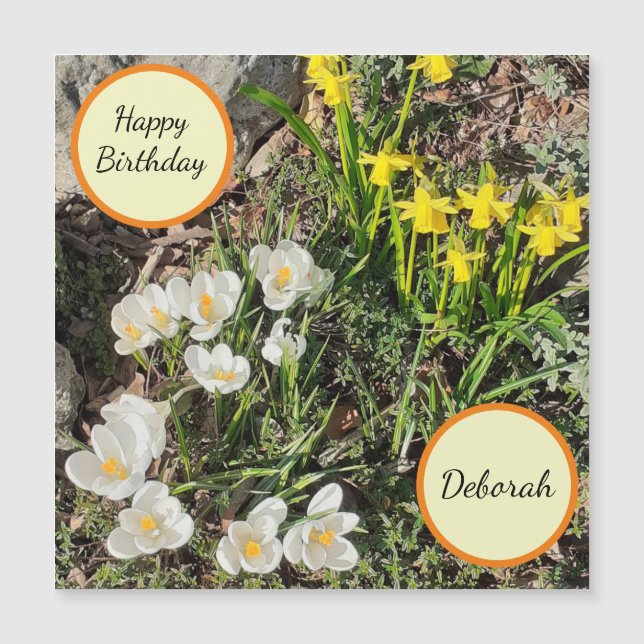 Daffodils & Crocus Magnetic Birthday Card (Framsida)