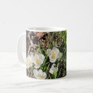 Daffodils & Crocus Mugg