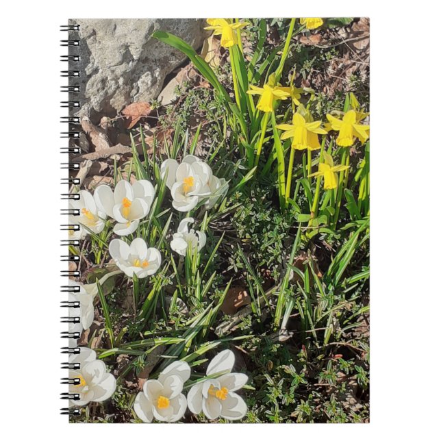 Daffodils & Crocus Spiral Notebook Anteckningsbok (Framsidan)