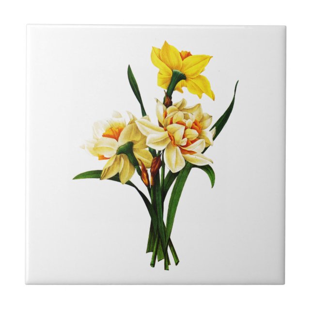 Daffodils eller Narcissus av Pierre Joseph Redoute Kakelplatta (Framsidan)