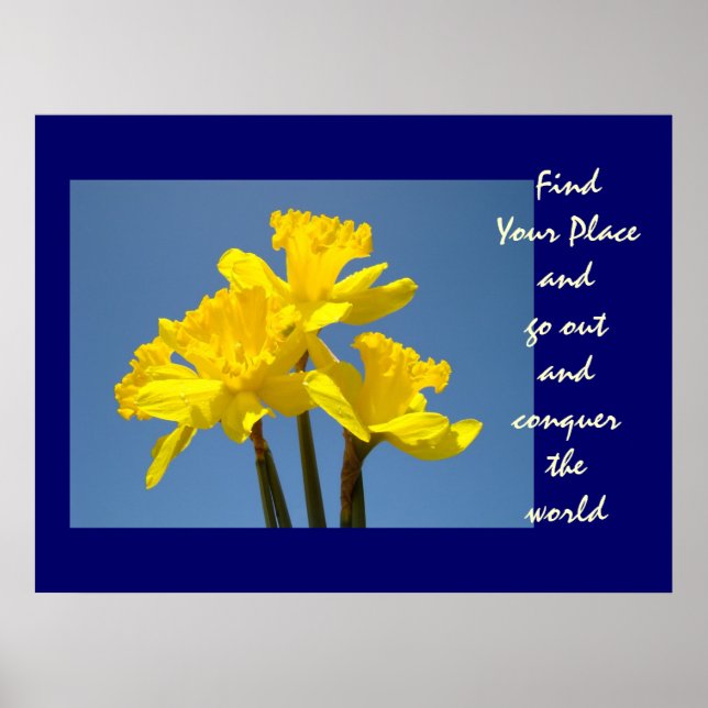 Daffodils Flowers hittar ditt Ställe-konquer. Poster (Framsidan)