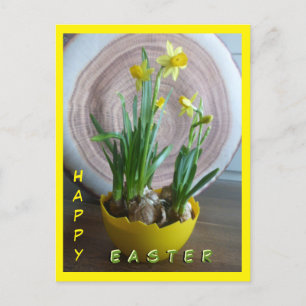 Daffodils Glad påsk Cust.Text-Lodrät vykort