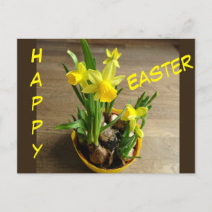 Daffodils Glad påsk Cust. Textvykort Vykort