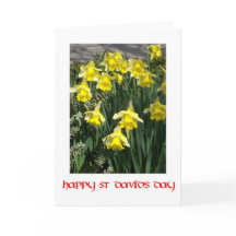 Daffodils Greeting Card för St David-dagen