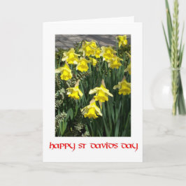Daffodils Greeting Card för St David-dagen Kort