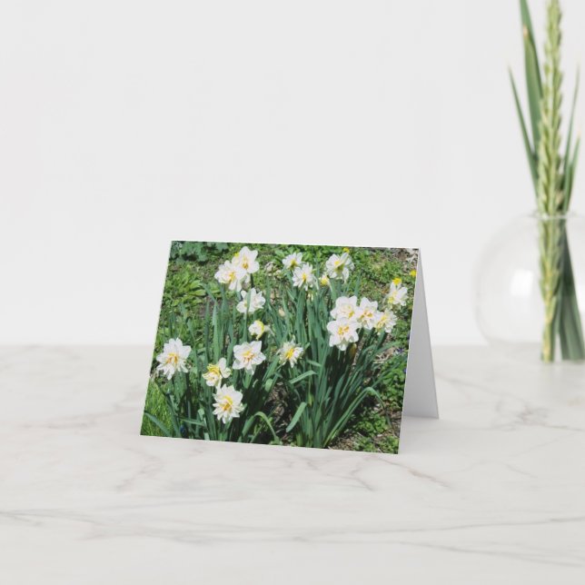 Daffodils Helgkort (Framsida)