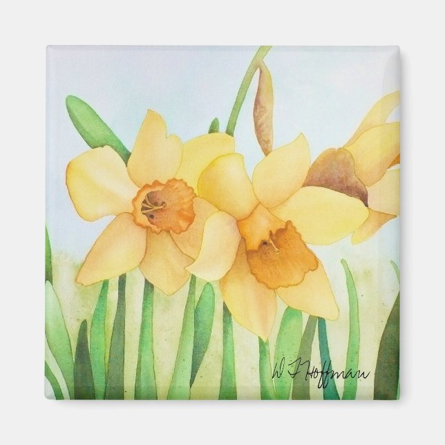 Daffodils Magnet (Framsidan)