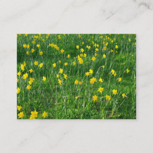 Daffodils/Narcissus Visitkort