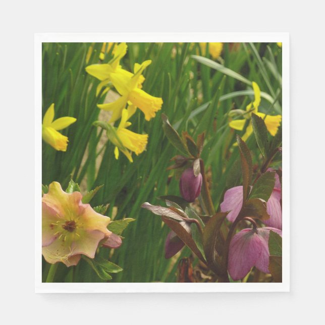 Daffodils och Lenten Ro Colorful Blommigt Pappersservett (Framsidan)