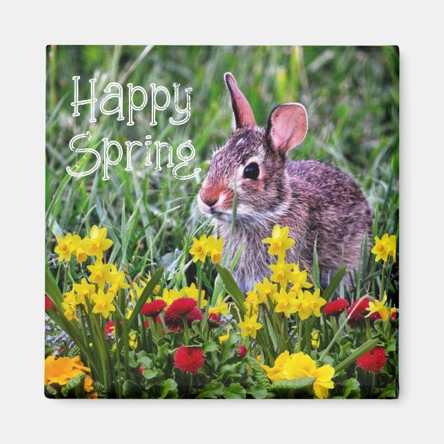 Daffodils och vild Rabbit Magnet (Framsidan)