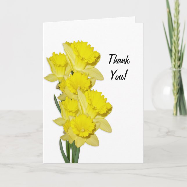 Daffodils på vitt blankat tackkort-kort tack kort (Framsida)
