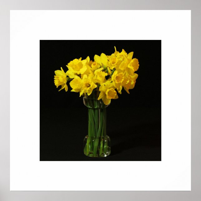 Daffodils Poster (Framsidan)
