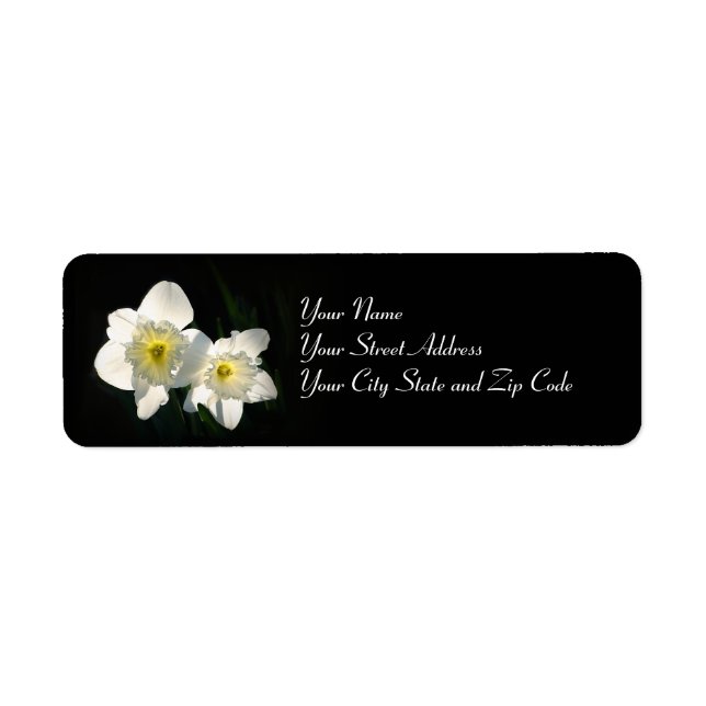 Daffodils Returadress Etikett (Framsidan)