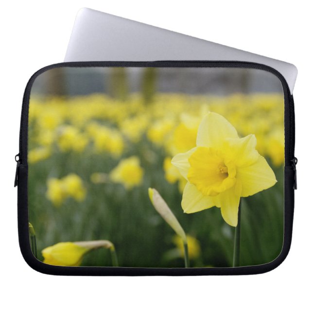 Daffodils (RF) Laptop Fodral (Framsidan)