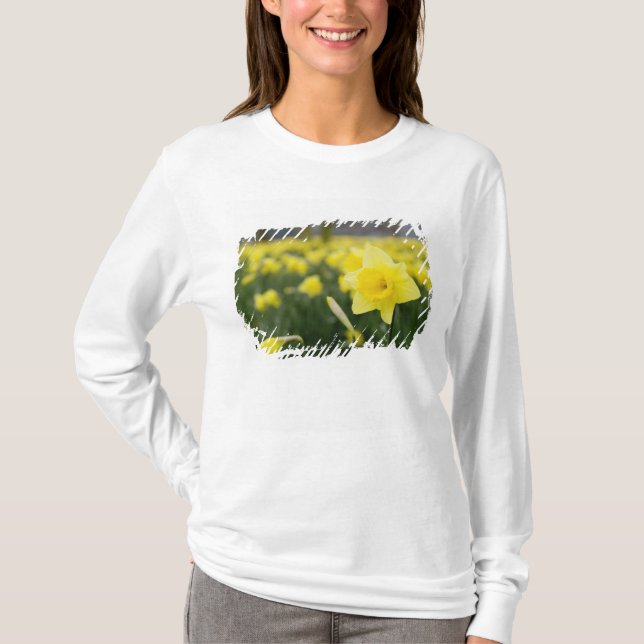 Daffodils (RF) Tee (Framsida)
