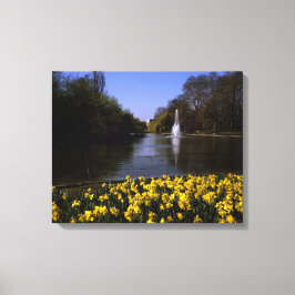 Daffodils St James's Park London Canvastryck