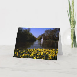 Daffodils St James's Park London Tack Kort