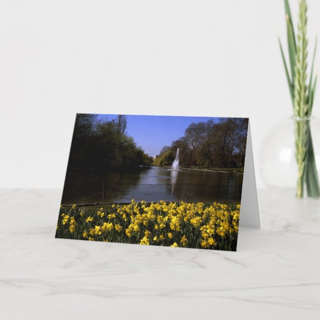 Daffodils St James's Park London Tack Kort (Framsida)