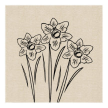 Daffodils Teckning Canvas Flower Poster