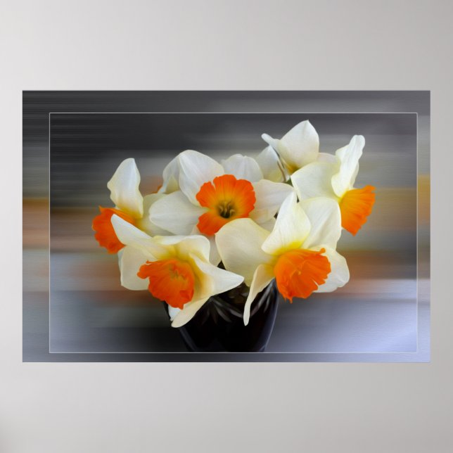 Daffodils tidigt vår poster (Framsidan)