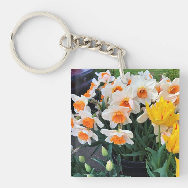 Daffodils & Tulips, Oregon (Framsidan)