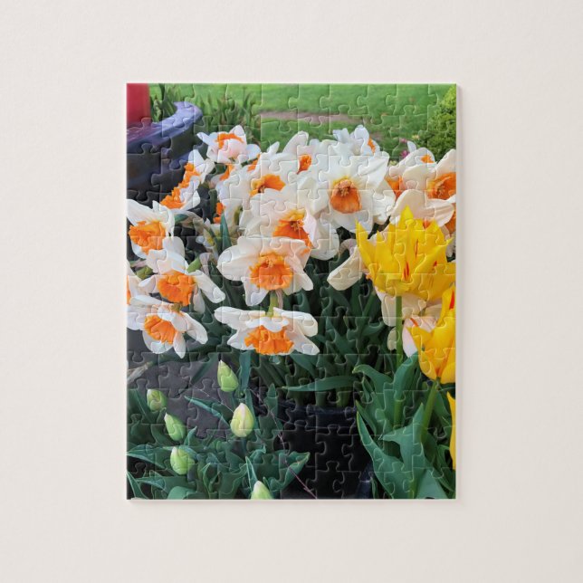 Daffodils & Tulips, Oregon Pussel (Vertikal)