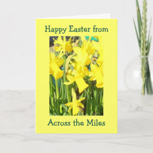 Daffodils tvärs över Miles Påsk Helgkort