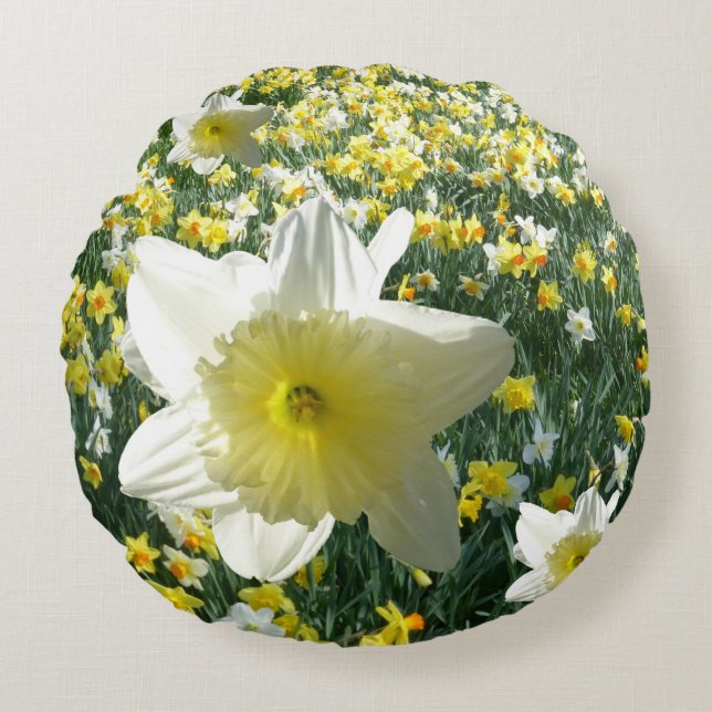 Daffodils Vår blommor Fält Round Pillow Rund Kudde (Framsidan)