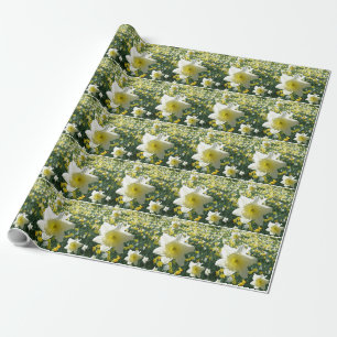 Daffodils Vår blommor Mönster Wrapping Papper Presentpapper