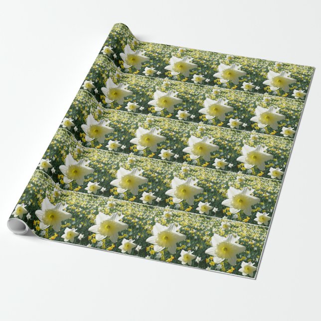 Daffodils Vår blommor Mönster Wrapping Papper Presentpapper (Utrullad)