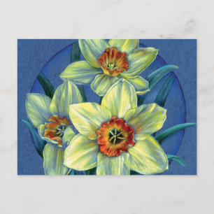 "Daffodils - vår joys" vykort
