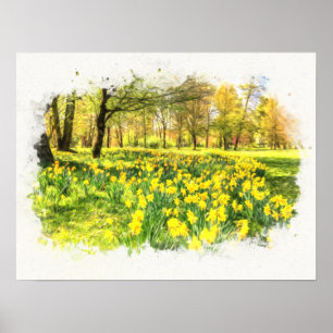 Daffodils Vår Poster