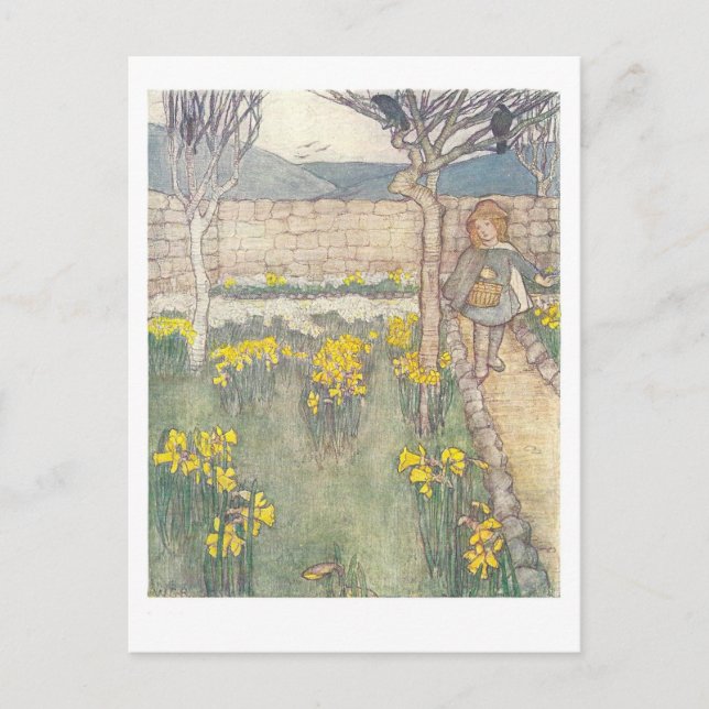 Daffodils Vintage Barns vykort för illustration (Framsida)