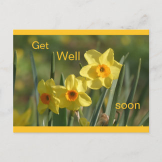 Daffodils Yellow Orange Cust. Get Well Postcard Helg Vykort