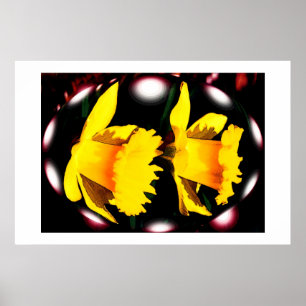 Daffodilsprit Poster