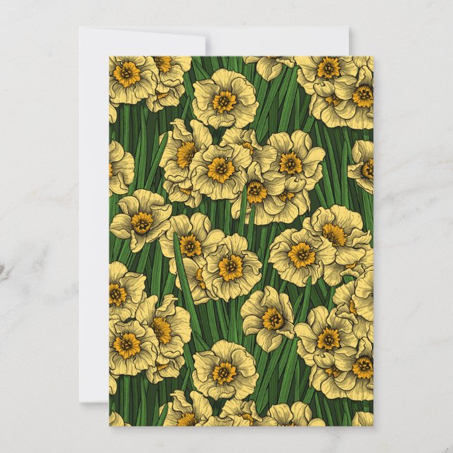 Daffodilträdgård (Framsida)