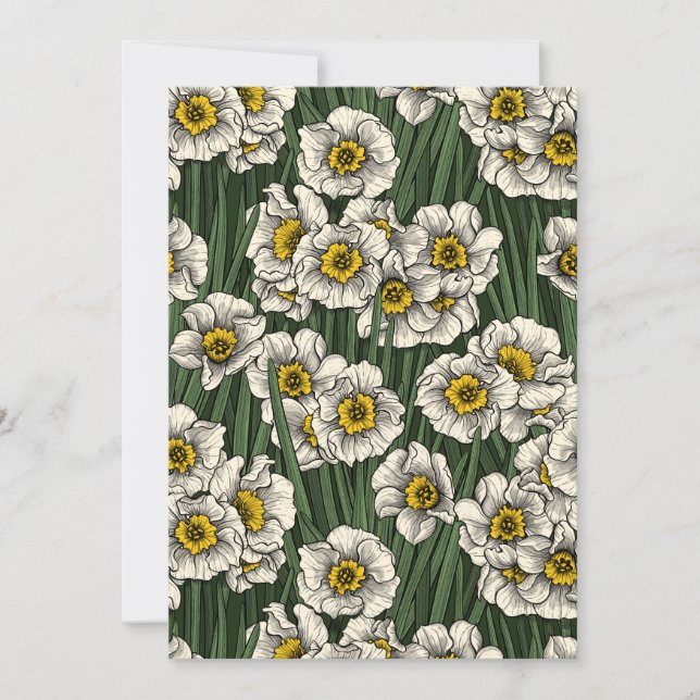 Daffodilträdgård (Framsida)