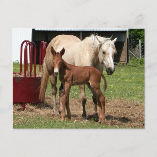 Dag 1 - vykort för Mor och son (Framsida)