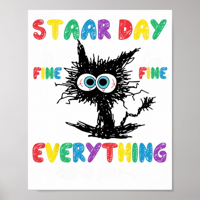Dag Black Cat Teacher Student Kids Staar Testing D Poster (Framsidan)