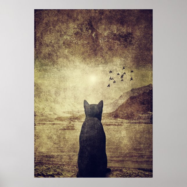 Dag Dream Poster (Framsidan)