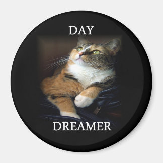 Dag Dreamer Magnet