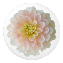 Dag Dreamer Waterlily Dahlia