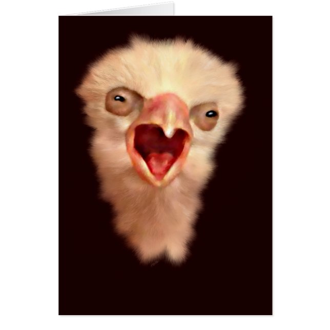 Dag Gamla Falcon-Chicken Hälsningskort (Framsidan)