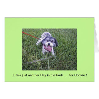 Dag i parken hälsningskort