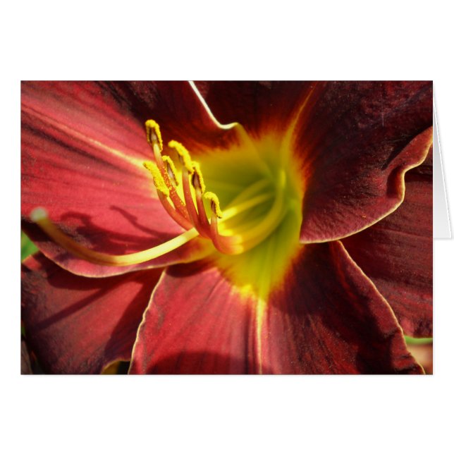 Dag Lily - mörk orange Hälsningskort (Framsidan Horizontal)