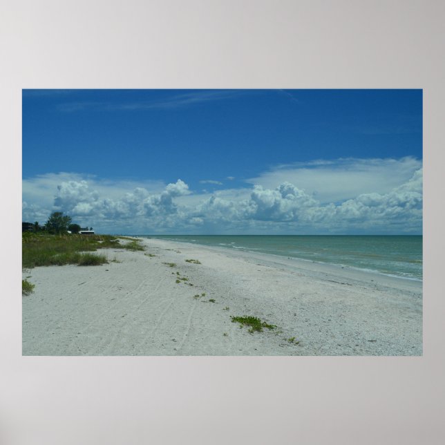 Dag på ett tropiskt fack poster (Framsidan)