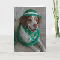 DAG skräddarsy BRITTANY för ST. PATRICKS -
