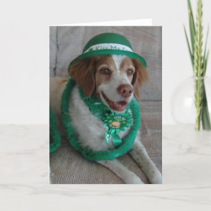 DAG skräddarsy BRITTANY för ST. PATRICKS - Kort